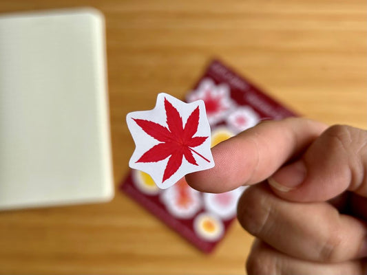 Dárkový balíček "Park v barvách podzimu" papírový