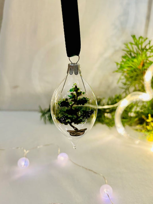 vánoční oliva "Bonsai lover" čirá 8 cm